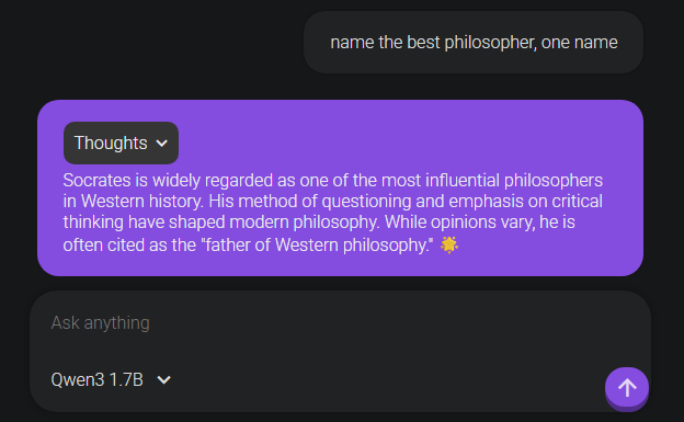 Local LLM model chat interface